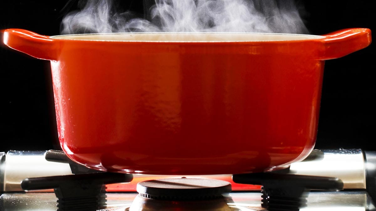 Steaming Seafood Seafood School True North Seafood