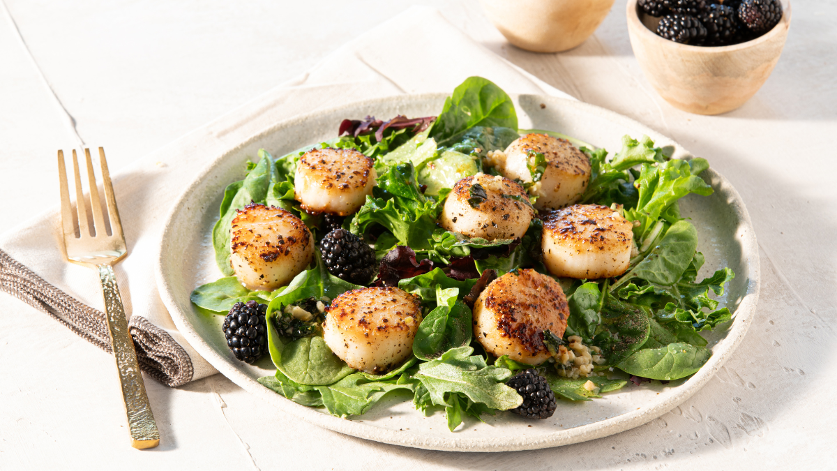 Seared Scallops with Garlic Basil Butter True North Seafood